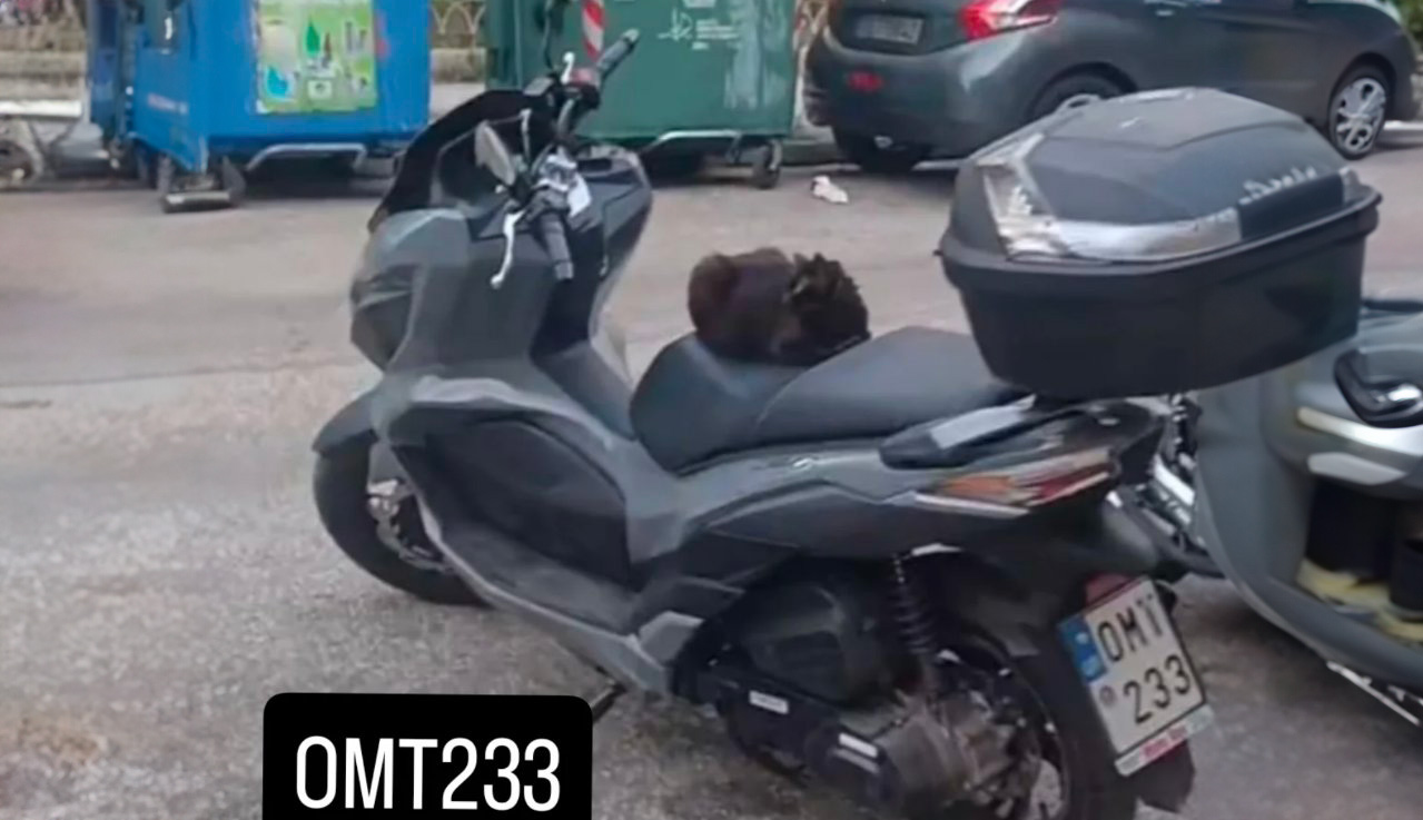 Κλοπή Μηχανής Στην Ηλιούπολη – Έκκληση Για Πληροφορίες