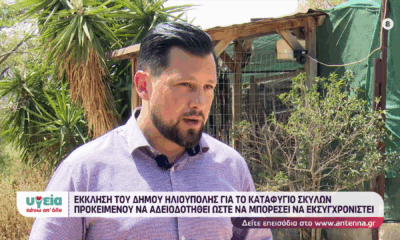 Ψυρρόπουλος: «Πρέπει Να Δράσει Το Δασαρχείο Για Να Μπορέσουμε Να Αναβαθμίσουμε Το Καταφύγιο Αδέσποτων Στην Ηλιούπολη» (VIDEO)